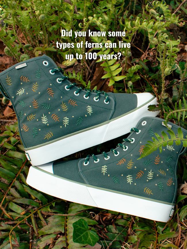 FOREST FERN PLATFORM HIGH TOP - 1