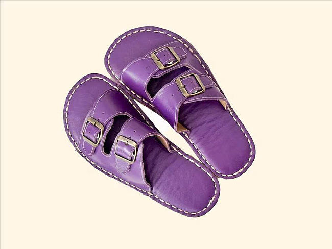 Purple Slipper - 1