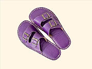 Purple Slipper - 1