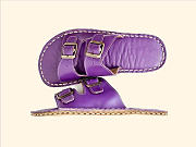Purple Slipper - 2